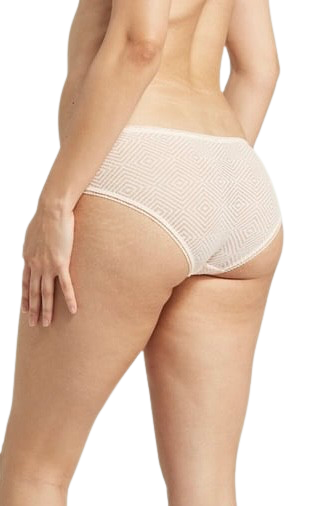 The Sheer Deco Hipster Brief Blush Pink