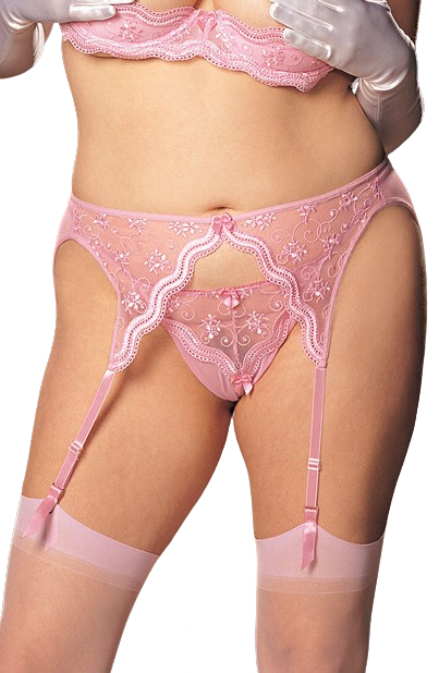 Shirley of Hollywood X622 Pink Garter Belt