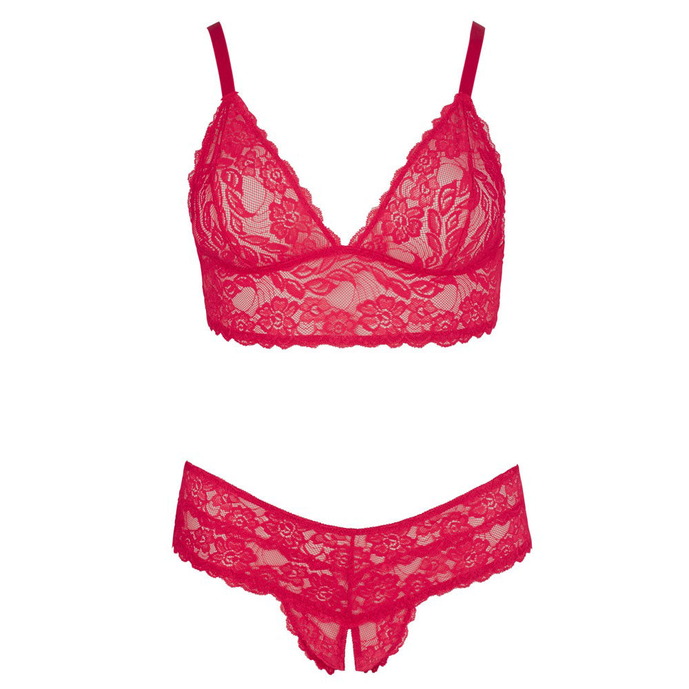 Cottelli Plus Size Red Lace Bra And Briefs - APLTD