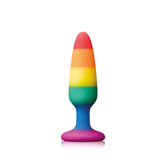 Pride Pleasure Plug Rainbow Small - APLTD
