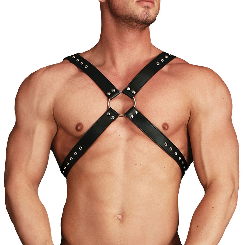 Ouch Adonis High Halter Harness - APLTD