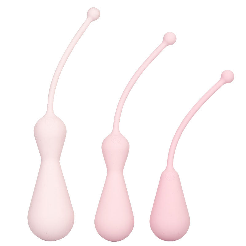 Inspire Weighted Silicone Kegel Training Kit - APLTD