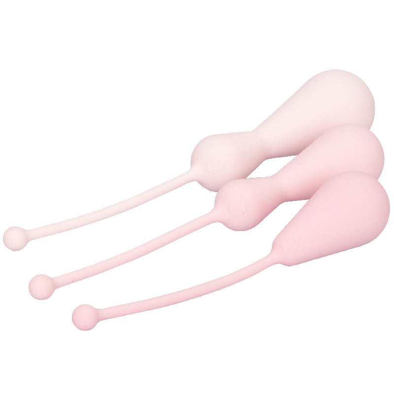 Inspire Weighted Silicone Kegel Training Kit - APLTD