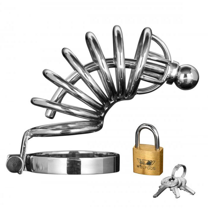 Asylum 6 Ring Locking Chastity Cage - APLTD