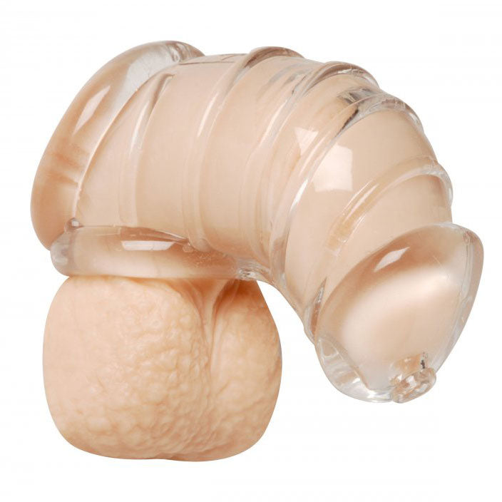 Detained Soft Body Chastity Cage - APLTD