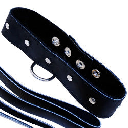 SportSheets Leather Leash And Collar - APLTD