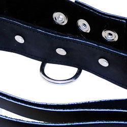 SportSheets Leather Leash And Collar - APLTD